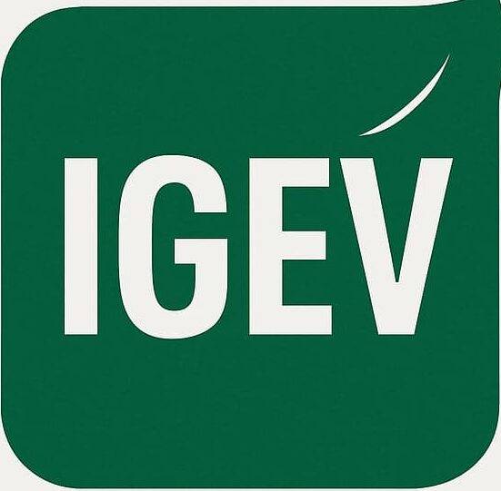 India Goes EV